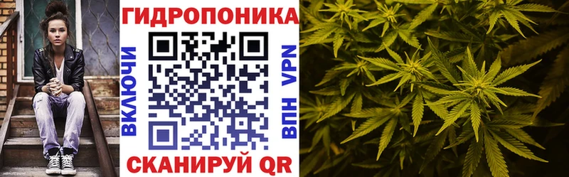 Бошки марихуана VHQ  это Telegram  Певек  купить наркотик 